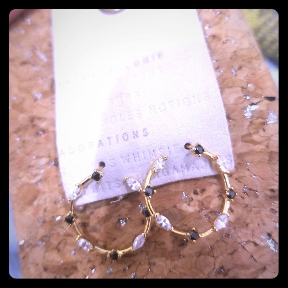 NWOT anthropologie hoops